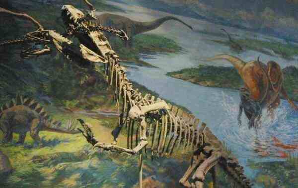 中华盗龙：体长达8米的新疆大型食肉恐龙，生活在距今1.44亿年前-第2张图片-爱薇女性网