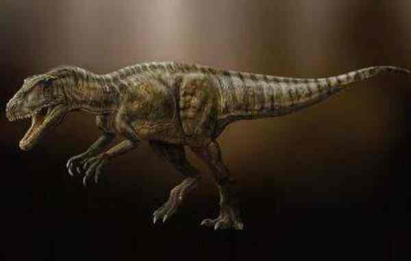 中华盗龙：体长达8米的新疆大型食肉恐龙，生活在距今1.44亿年前-第3张图片-爱薇女性网