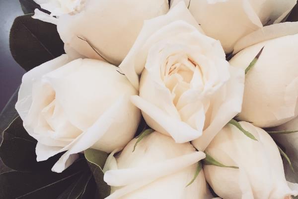 白玫瑰代表什么意思？表达纯洁浪漫的爱情-第3张图片-爱薇女性网